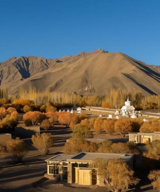 Himalayan Desert Leh