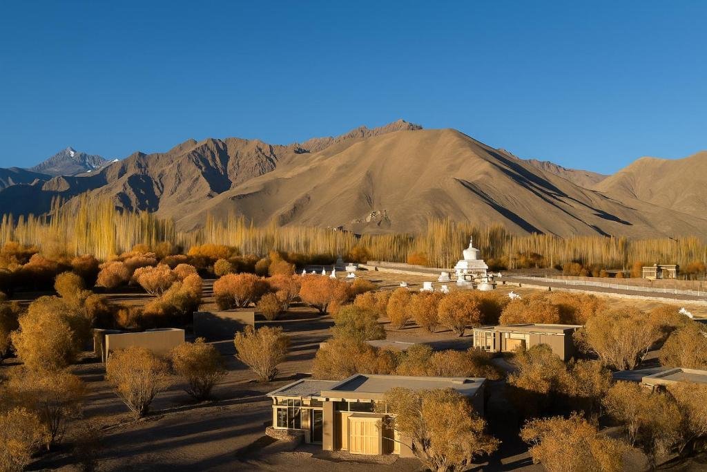 Himalayan Desert Leh