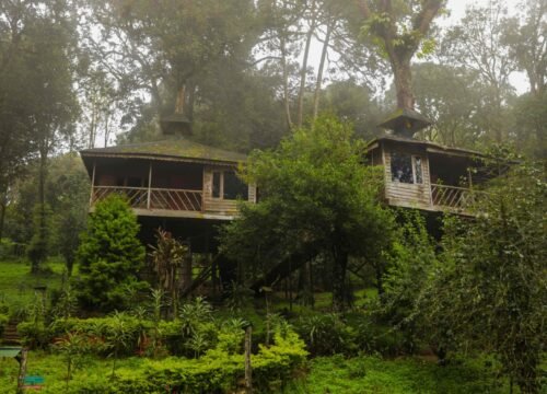 2N/3D Munnar Tour Package