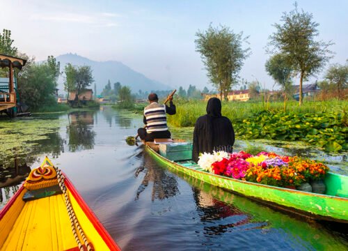 3 Nights 4 Days Srinagar Trip