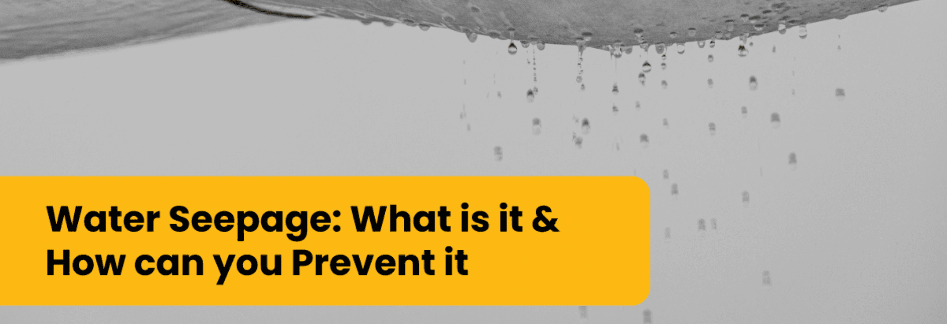 What is water seepage? How to avoid seepage of water